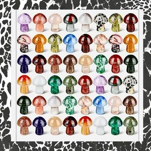 Bundle of 10 Random Crystal Carving Mushroom Scoops